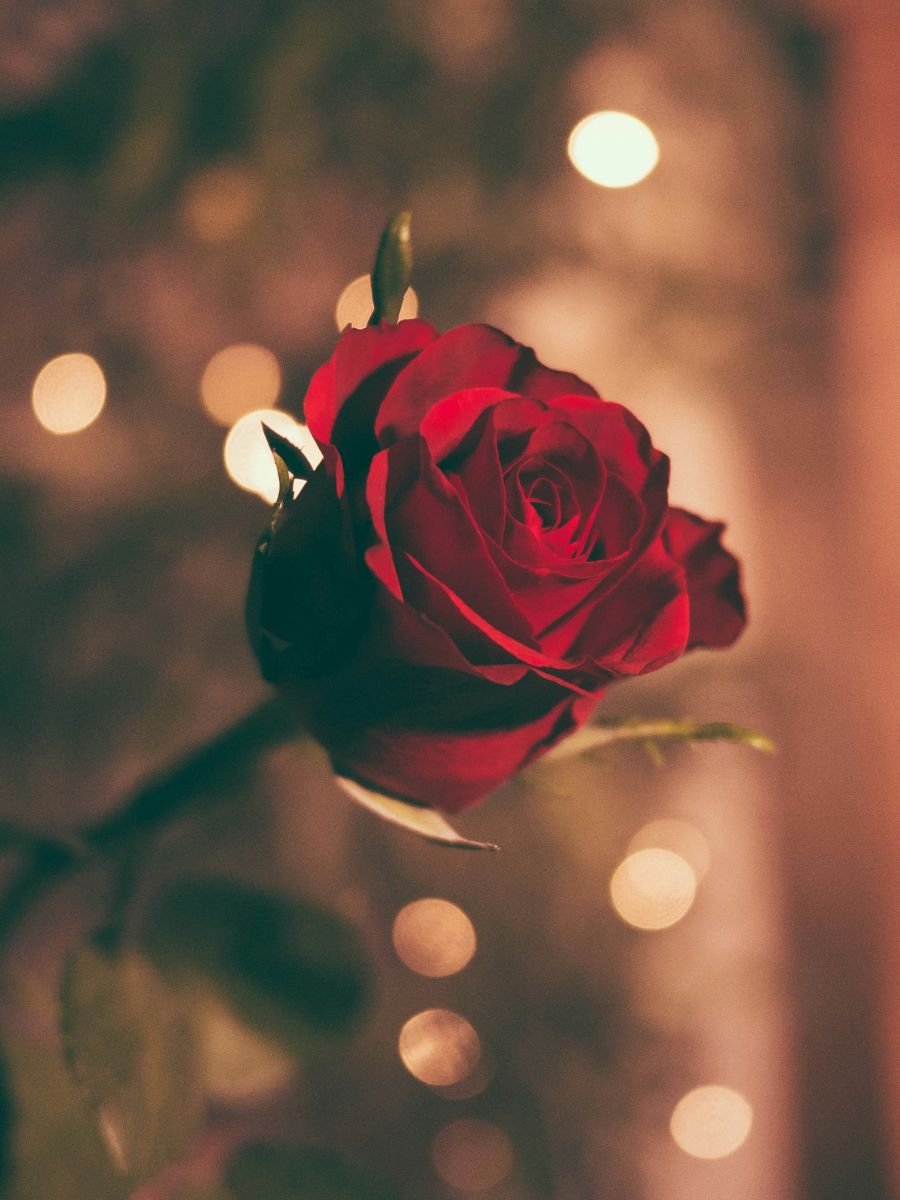 1723085708-jamie-street-C6CVXJMXwqs-unsplash